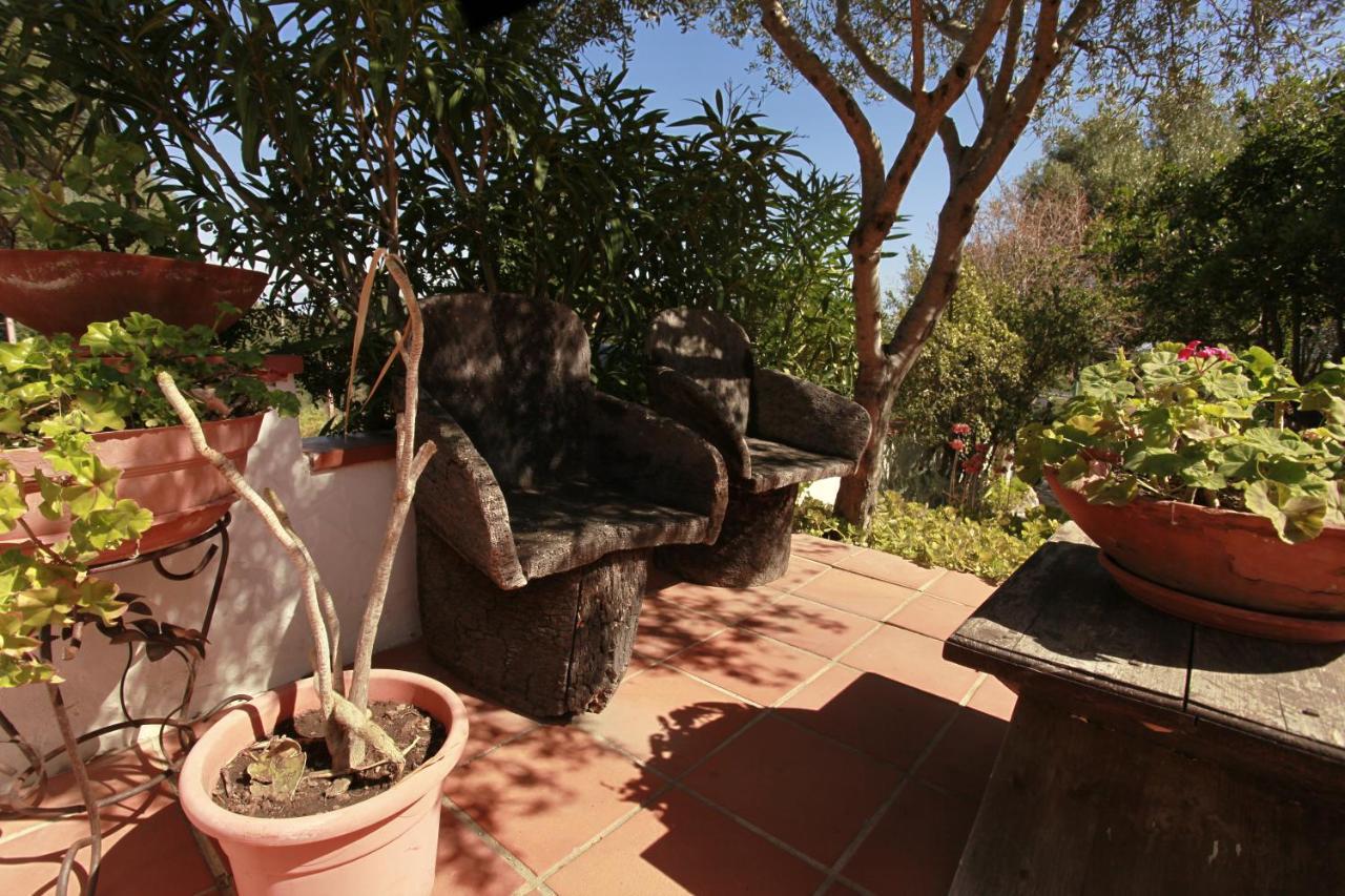 Villa Marie Pittulongu Esterno foto